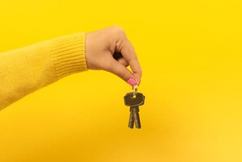 Lost keys, fobs, etc