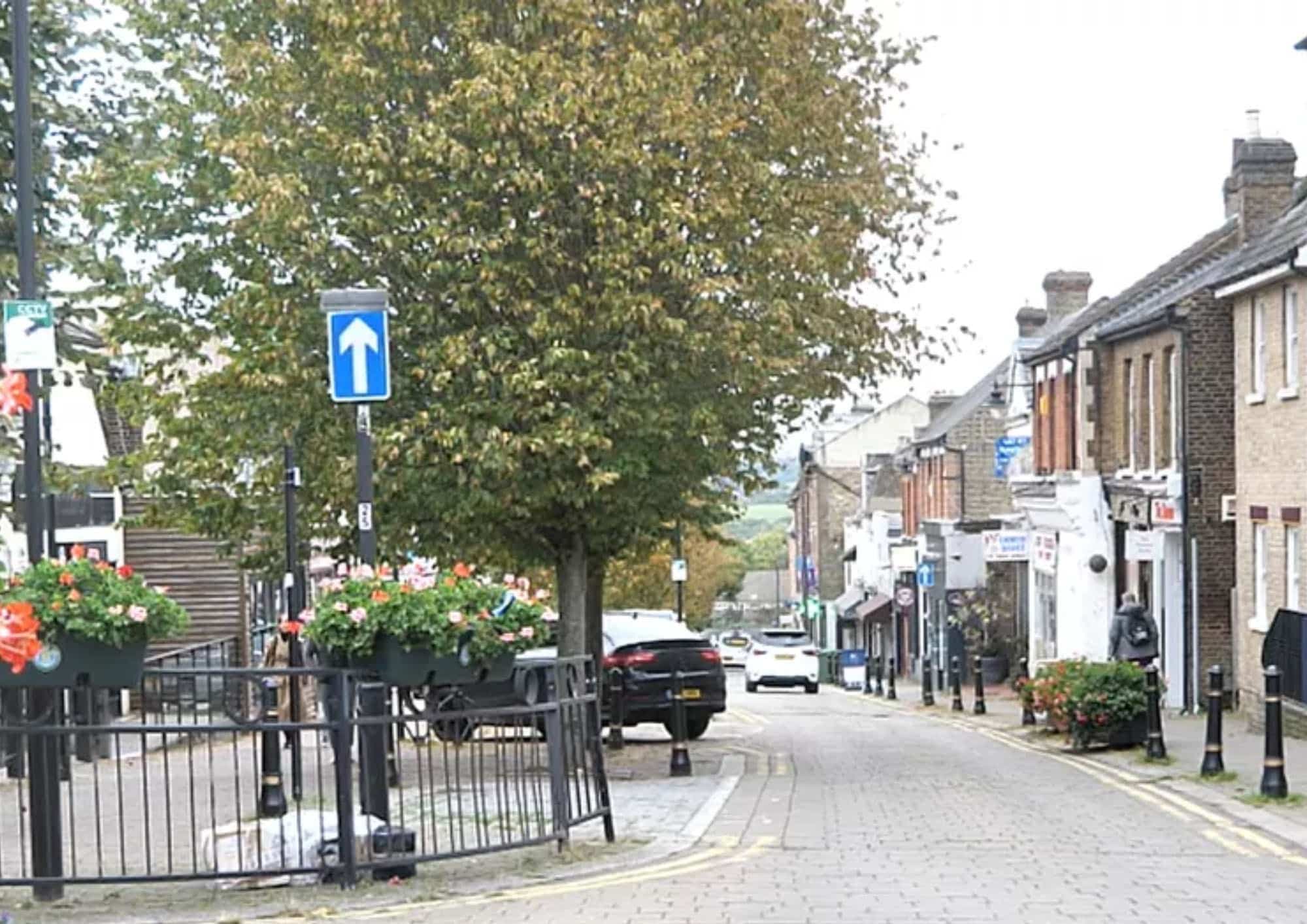 Buckhurst Hill Area Guide